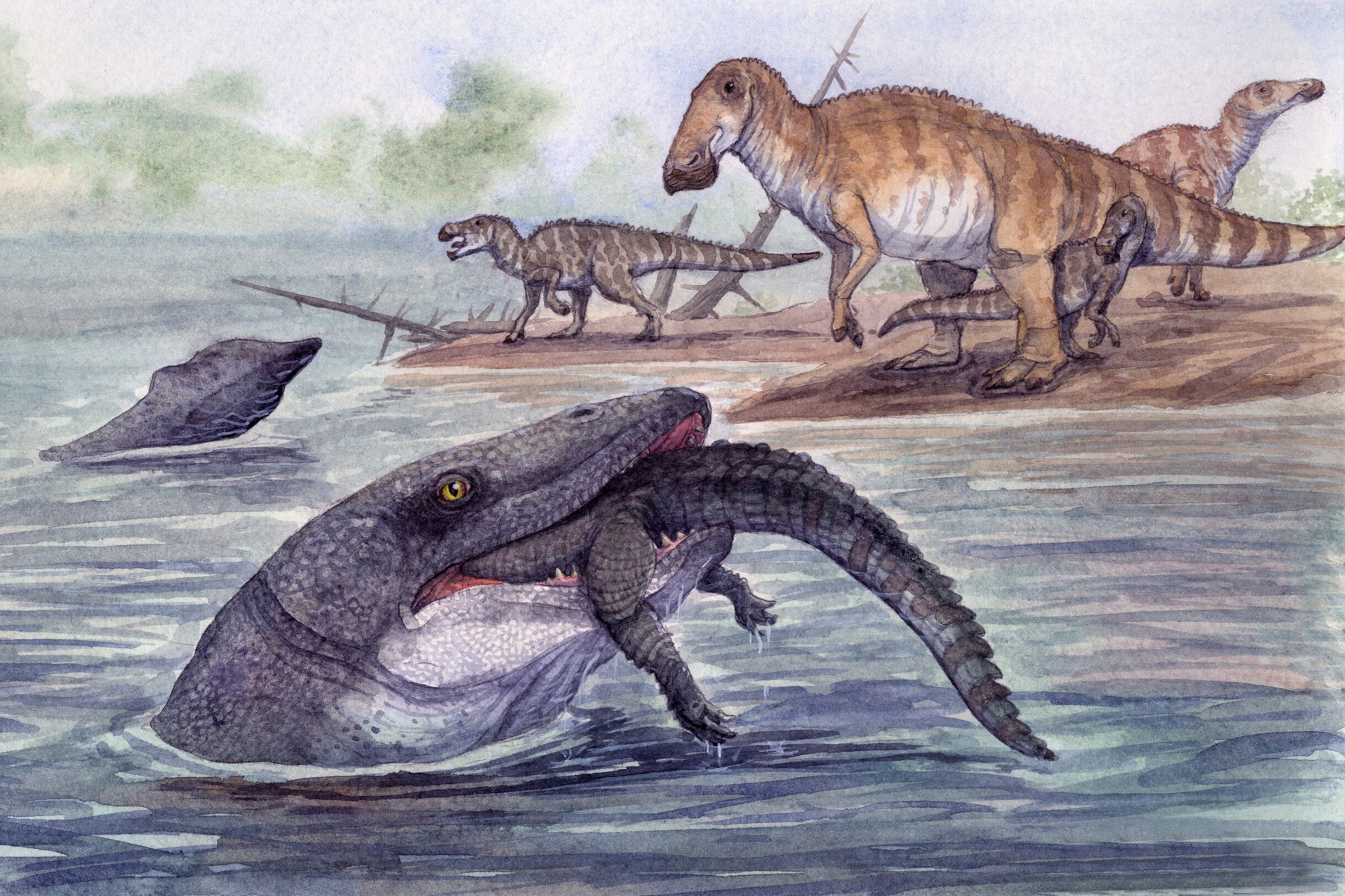 Analýza zubu z říčních sedimentů ukazuje, že mosasauři nebyli jen vládci moří